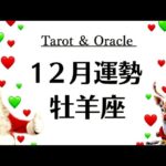 牡羊座、感動だわ。最高の年末だよ。絶対うまくいくこと。既に激変者続出中。2025年12月全体運勢♈️仕事恋愛不安解消評価や印象【個人鑑定級タロットヒーリング】