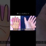 非常に珍しい手相を二つ紹介、あまり見たことない #占い #スピリチュアル #手相 #手相占い #手相鑑定