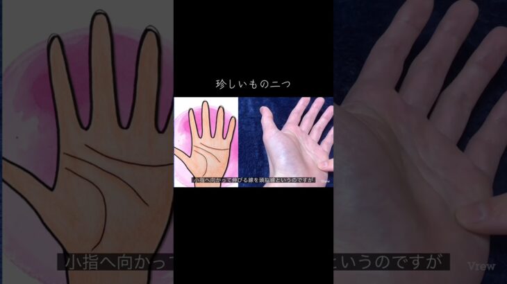 非常に珍しい手相を二つ紹介、あまり見たことない #占い #スピリチュアル #手相 #手相占い #手相鑑定