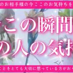 【最新✨恋愛💖】今この瞬間のあの人のあなた様へのお気持ち🔮🦋的中率が高いと言われるルノルマンカードにタロットも併用しズバリ鑑定します✨