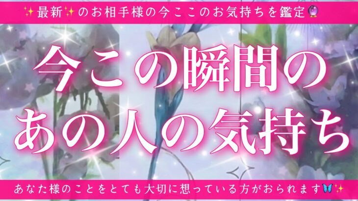 【最新✨恋愛💖】今この瞬間のあの人のあなた様へのお気持ち🔮🦋的中率が高いと言われるルノルマンカードにタロットも併用しズバリ鑑定します✨