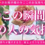 【最新✨恋愛💖】今この瞬間のあの人のあなた様へのお気持ち🔮🦋的中率が高いと言われるルノルマンカードにタロットも併用しズバリ鑑定します✨