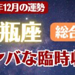 【水瓶座】2025年12月 みずがめ座の運勢 総合運「激ヤバな臨時収入」