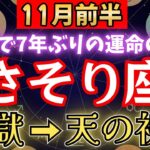 【さそり座♏️11月前半】5秒以内に再生して下さい！あと1日で《7年》続いた《試練》がついに終わり、宇宙銀行からの報酬が届く【12星座占い】#金運 #占星術 #開運