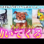 【⚠️ハッキリYes or No】このまま待ってたら連絡くる？動いてくるの？あの人の気持ち💗本音💗行動を視ます✨個人鑑定級　タロット占い