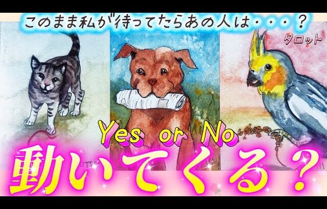 【⚠️ハッキリYes or No】このまま待ってたら連絡くる?動いてくるの?あの人の気持ち💗本音💗行動を視ます✨個人鑑定級 タロット占い