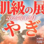 12月の運勢💐やぎ座　鳥肌級‼️山羊座さんが大優勝の年末ですね✨もう心配ないです(お金・仕事・人間関係)