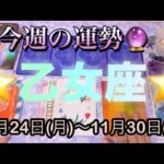 乙女座♍️さん⭐️11月24日(月)〜11月30日(日)🔮希望や願いが叶うかも‼️やる気と勇気も出る時🌈