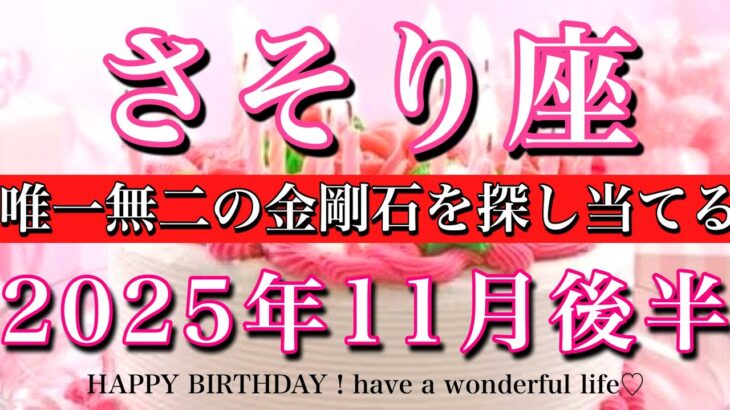 さそり座♏️11月後半全体運タロット★お誕生日おめでとうございます🎁㊗️!唯一無二の金剛石を探し当てる!Scorpio tarot reading