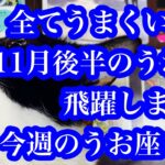 やっぱり上昇気流！うお座さんの11月後半と今週の運気！Pisces’ luck for the second half of November and this week!