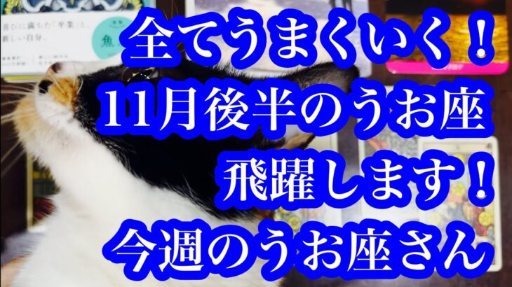 やっぱり上昇気流！うお座さんの11月後半と今週の運気！Pisces’ luck for the second half of November and this week!