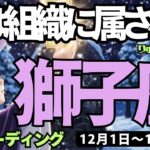 【獅子座】♌️2025年12月1日の週♌️組織には属さない。私の思いのままに動いていく時。しし座。タロットリーディング