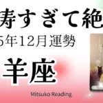 山羊座12月は怒涛すぎ‼️文句無しの絶・好・調👍これを待ってたマジ嬉しい〜❤️♑️2025年12月運勢仕事恋愛人間関係【癒しのタロット個人鑑定級】