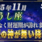 【おうし座♉️】前代未聞の奇跡が起きます。星々と神様が、11月、おうし座のあなたに、財運期をもたらします。【12星座占い】