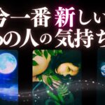 ➳❤︎恋愛タロット:: 今いちばん新しいあの人の気持ち、見つけました。☽*̣̩蠍座新月にあの人は…🙀💕【アフアの秘密タロット・オリジナル】#pickacard (2025/11/21)
