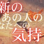 【 見た時がタイミング 】最新のあの人のあなたへの気持ち 【 恋愛 タロット オラクル カード 占い 】
