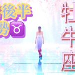 【牡牛座】11月後半の運勢❤️願いが叶う…！！こりゃ、すごい😳シンクロ神展開🌈ベストなタイミングがやってくる❤️‍🔥新しい人生の幕開けマンスリー　2025年　タロット占い