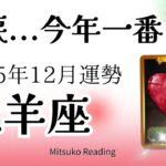 牡羊座12月は今年一番‼️展開に涙。待ちに待った運命のイベントがスタート♈️2025年12月運勢仕事恋愛人間関係【癒しのタロット個人鑑定級】