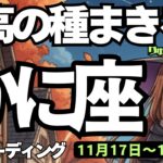 【蟹座】♋️2025年11月17日の週♋️最高の種まきを😊新月のメッセージを受け取って❣️かに座、タロットリーディング🍀