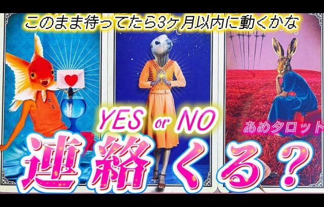 【⚠️ハッキリYes or No🍬】最後まで聞いて❗️このまま待ってたら連絡くる?動いてくる?あの人の気持ち💓深掘り本音❤️個人鑑定級✨タロット占い