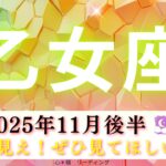 【おとめ座11月後半】全て丸見え👀✨手に取るように分かった🤭‼️ぜひ見てほしい🌈