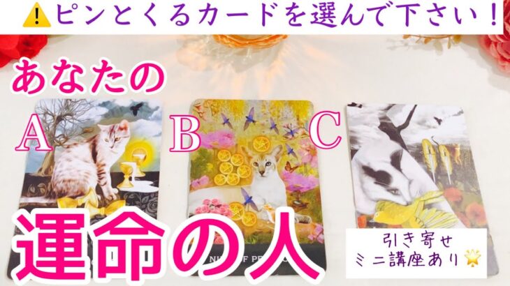 【イニシャル】あなたの運命の人❣️タロット、タロット占い、恋愛