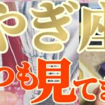 山羊座さんへ11月中旬🐉龍神様メッセージ【断然🙏アナタが気付くのを待っています】✡️キャラ別鑑定付き✡️　