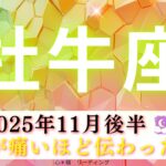 【おうし座11月後半】辛さが痛いほど伝わった🥹🫶🏻大丈夫❣️〇〇がいっぱいだから🤗💕🍀