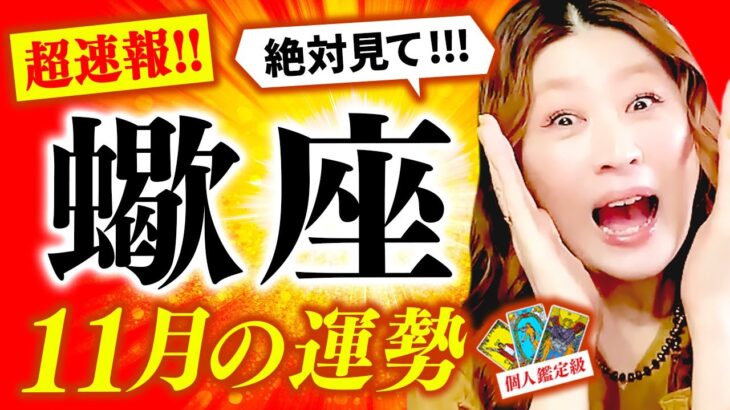 【蠍座】11月運勢❤️驚愕‼️超凄‼️史上最高の神展開🎊奇跡の大逆転‼️動く時が来た‼️ドヤ顔で開運💖ティン❣️ティン❣️ティン❣️最高タイミング来た🌈あなたは独りじゃない🌈大丈夫‼️全てうまくいく🌈