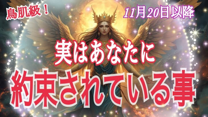 【自己超越の時✨】実はあなたに約束されている事😳11月20日蠍座新月リンクリーディング💓個人鑑定級タロット占い🔮⚡️