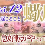 【さそり座さん⛄️】12月あなたに起こること❄️嬉しい悲鳴‼️勢いが止まらない‼️ワンランク上のステージへ👏✨貴方は愛され必要とされています✨【タロット・ルノルマン・オラクルカード占い】