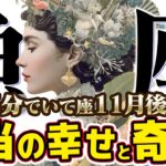 【15分でわかる！うお座11月後半】完璧なリスタートへ！ 日常の小さな出来事が全てを変える【癒しの眠れる占い】