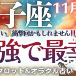 【双子座】初展開‼️超〜強烈‼️最強で最幸へ🕊️✨新たなサイクル🌈✨🫶辛口ではありません🫶✨【仕事運/対人運/家庭運/恋愛運/全体運】11月後半 タロット占い