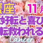 ♋蟹座11月運勢🌈✨新展開！縁のある方との大幸運💐✨️
