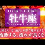 【牡牛座】11月後半-12月後半／グッとスムーズに運ぶ！必然がちゃんと来る！✨🕊🌕【タロット】【運勢】【占い】【おうし座】