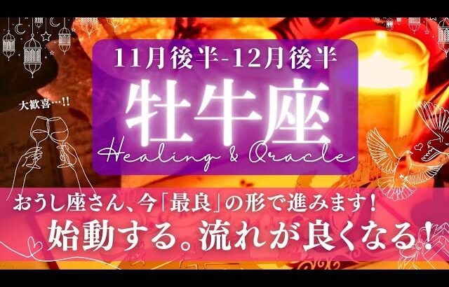 【牡牛座】11月後半-12月後半／グッとスムーズに運ぶ！必然がちゃんと来る！✨🕊🌕【タロット】【運勢】【占い】【おうし座】