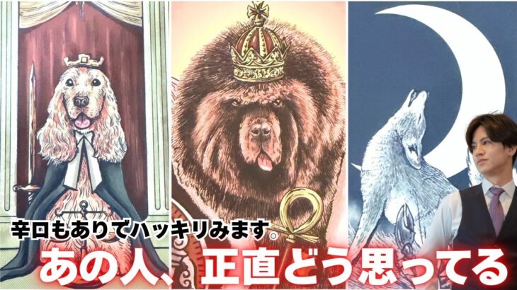 核心直撃💥いま私のことどう思ってる？あの人の“隠してきた想い”を男心×タロットで深層解明🧠心の底にある想い・葛藤・期待まで…全部まるごと代弁します❤️
