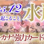 【みずがめ座さん⛄️】12月あなたに起こること❄️全水瓶座さんに最後まで見て欲しい‼️あなたが受け取る番が来ています。とカードは伝えています👏✨‼️【タロット・ルノルマン・オラクルカード占い】