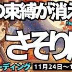 【蠍座】♏️2025年11月24日の週♏️心の束縛が消えていく。一つ一つ正しく生きることによって。自由な私で。さそり座。タロットリーディング