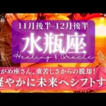 【水瓶座】11月後半-12月後半／落ち着く･開ける･楽しめる！喜びを感じて進めるとき✨🕊🌕【タロット】【運勢】【占い】【みずがめ座】