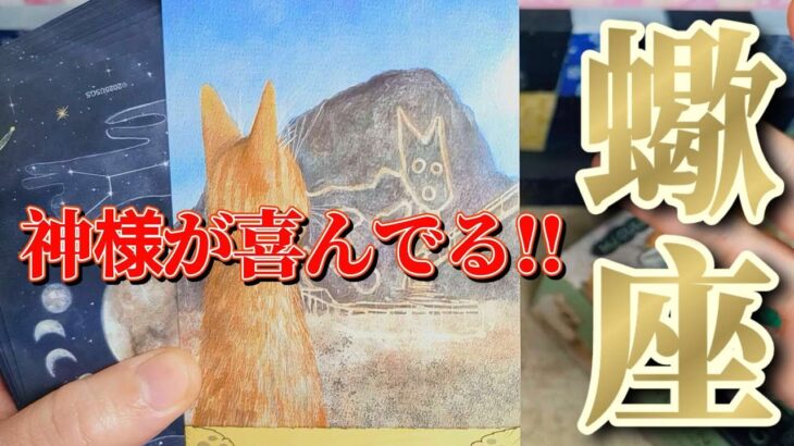 蠍座さん見て！アナタは特別な表現者👑これから真価を発揮します💐💐【12月前半運勢】