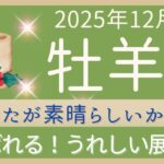 【牡羊座】12月前半✨うれしい展開…窮屈な状況から抜け出す。抜擢される！呼び出される。自分を信じて！オラクルカードリーディング