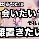 【ハッキリ教えてくれました！】もう会いたくない？あの人が今何を考えているのか聞きました。個人鑑定級に当たる占い｜恋愛タロット♥️｜ルノルマン｜オラクルカード細密リーディング