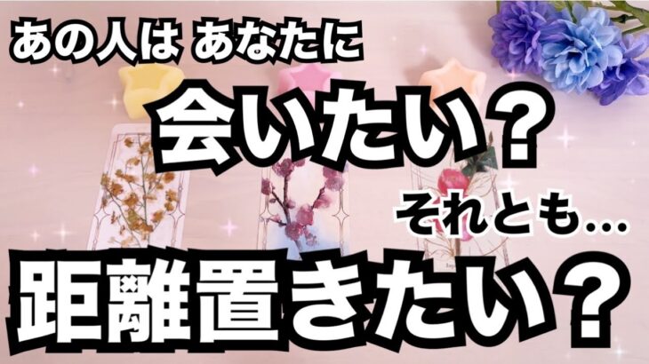 【ハッキリ教えてくれました！】もう会いたくない？あの人が今何を考えているのか聞きました。個人鑑定級に当たる占い｜恋愛タロット♥️｜ルノルマン｜オラクルカード細密リーディング