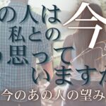 あの人は私との「今」をどう思っていますか？ 【 恋愛 気持ち タロット オラクル カード 占い 】