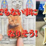 蟹座さん見て！この導きにはビックリですね💐💐【12月前半運勢】