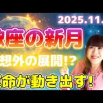 ♏️【11/20 蠍座新月 15:48】強力で円滑に流れ出す💫予想外の展開への星の導き🌌