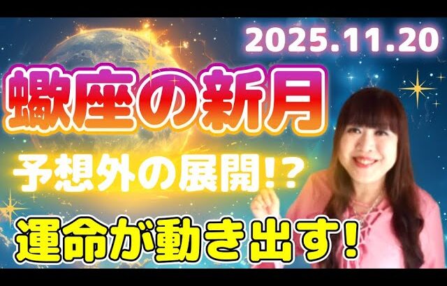 ♏️【11/20 蠍座新月 15:48】強力で円滑に流れ出す💫予想外の展開への星の導き🌌