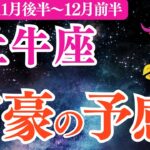 【牡牛座】2025年11月後半～おうし座総合運「富豪の予感‼️」