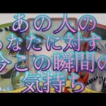 【恋愛💖🪽】あの人のあなたへの今この瞬間の気持ち‼️あの人の異性関係も☠️㊙️🫟